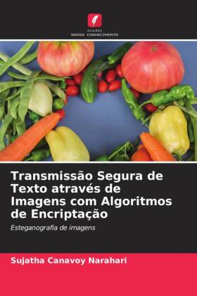 Transmissão Segura de Texto através de Imagens com Algoritmos de Encriptação