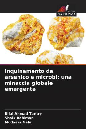 Inquinamento da arsenico e microbi: una minaccia globale emergente