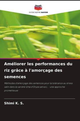 Améliorer les performances du riz grâce à l'amorçage des semences