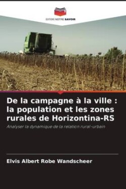 De la campagne à la ville : la population et les zones rurales de Horizontina-RS