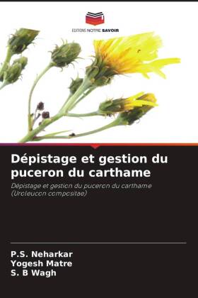 Dépistage et gestion du puceron du carthame