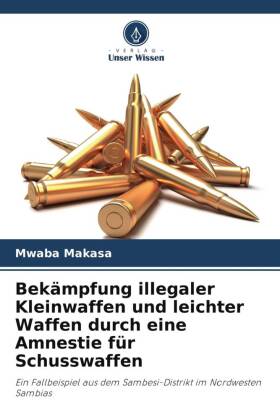 Bekämpfung illegaler Kleinwaffen und leichter Waffen durch eine Amnestie für Schusswaffen