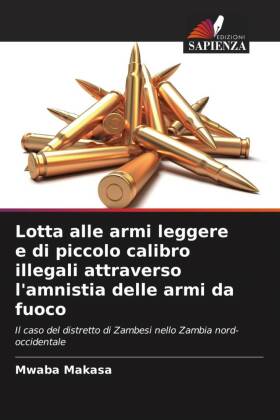 Lotta alle armi leggere e di piccolo calibro illegali attraverso l'amnistia delle armi da fuoco