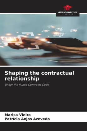 Shaping the contractual relationship