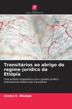 Transitários ao abrigo do regime jurídico da Etiópia