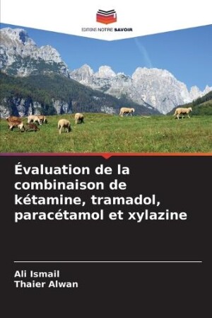 Évaluation de la combinaison de kétamine, tramadol, paracétamol et xylazine