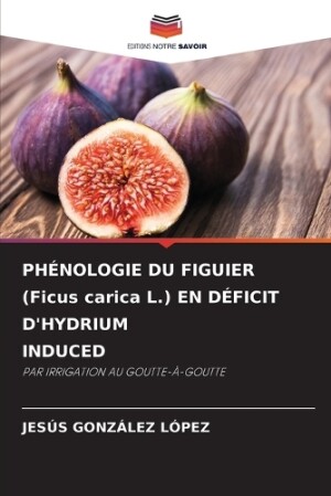 PHÉNOLOGIE DU FIGUIER (Ficus carica L.) EN DÉFICIT D'HYDRIUM INDUCED