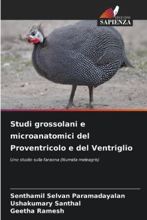 Studi grossolani e microanatomici del Proventricolo e del Ventriglio