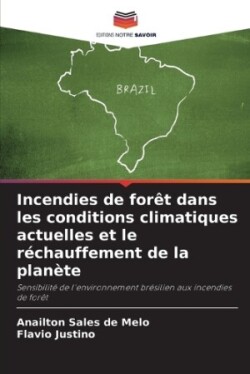 Incendies de forêt dans les conditions climatiques actuelles et le réchauffement de la planète