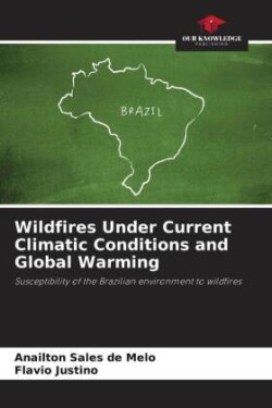 Wildfires Under Current Climatic Conditions and Global Warming