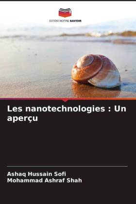 Les nanotechnologies