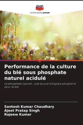 Performance de la culture du blé sous phosphate naturel acidulé