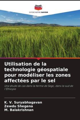 Utilisation de la technologie géospatiale pour modéliser les zones affectées par le sel