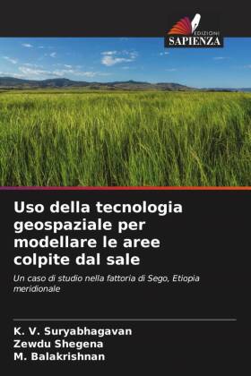 Uso della tecnologia geospaziale per modellare le aree colpite dal sale