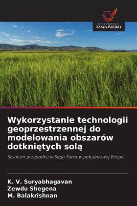 Wykorzystanie technologii geoprzestrzennej do modelowania obszarów dotkniętych solą