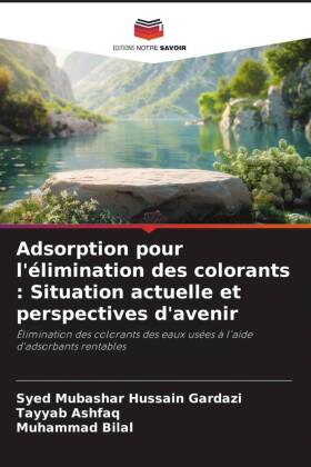 Adsorption pour l'élimination des colorants : Situation actuelle et perspectives d'avenir