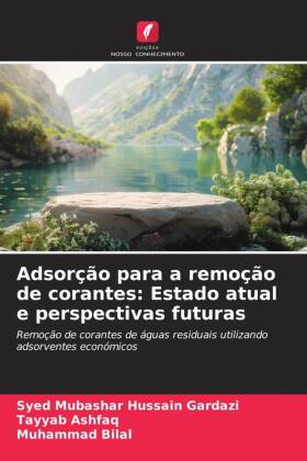 Adsorção para a remoção de corantes: Estado atual e perspectivas futuras