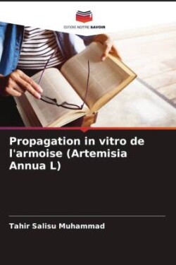 Propagation in vitro de l'armoise (Artemisia Annua L)