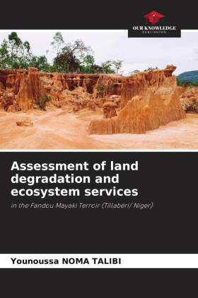 Assessment of land degradation and ecosystem services