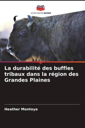 durabilité des buffles tribaux dans la région des Grandes Plaines