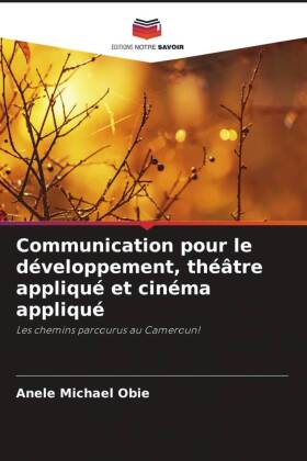 Communication pour le développement, théâtre appliqué et cinéma appliqué