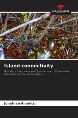 Island connectivity