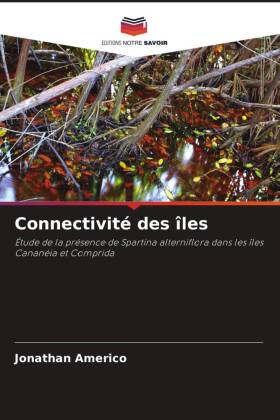 Connectivité des îles