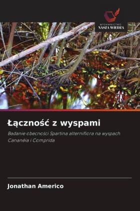 Lącznośc z wyspami