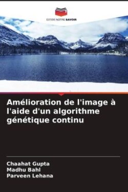 Amélioration de l'image à l'aide d'un algorithme génétique continu