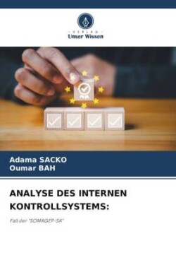 ANALYSE DES INTERNEN KONTROLLSYSTEMS: