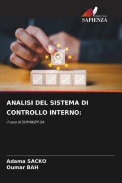 ANALISI DEL SISTEMA DI CONTROLLO INTERNO: