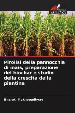 Pirolisi della pannocchia di mais, preparazione del biochar e studio della crescita delle piantine