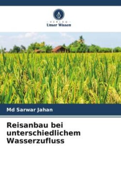 Reisanbau bei unterschiedlichem Wasserzufluss