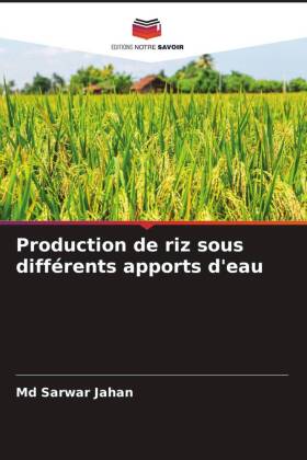 Production de riz sous différents apports d'eau