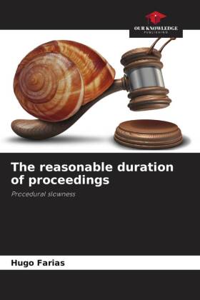 The reasonable duration of proceedings