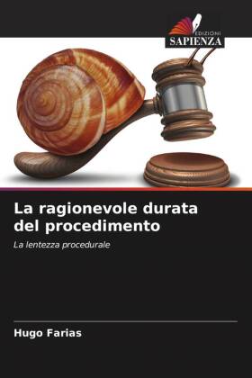 La ragionevole durata del procedimento