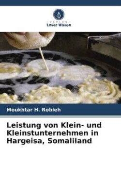 Leistung von Klein- und Kleinstunternehmen in Hargeisa, Somaliland