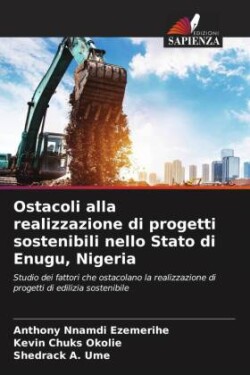 Ostacoli alla realizzazione di progetti sostenibili nello Stato di Enugu, Nigeria