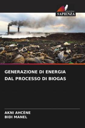 Generazione Di Energia Dal Processo Di Biogas