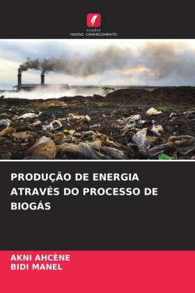 Produção de Energia Através Do Processo de Biogás