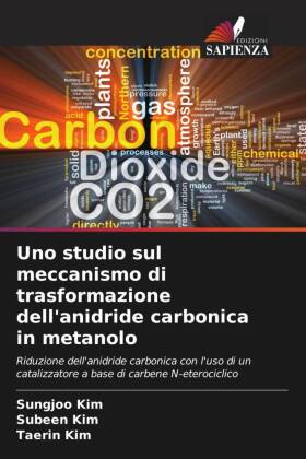 Uno studio sul meccanismo di trasformazione dell'anidride carbonica in metanolo