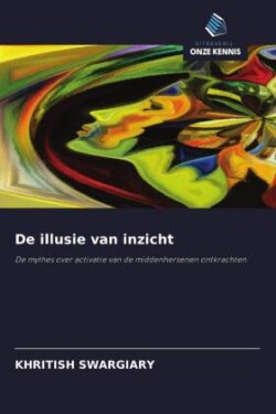 De illusie van inzicht