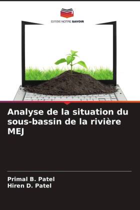 Analyse de la situation du sous-bassin de la rivière MEJ