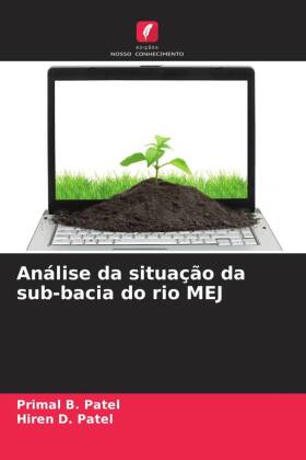 Análise da situação da sub-bacia do rio MEJ