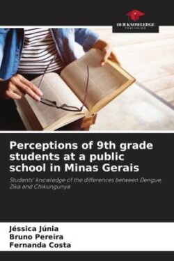 Perceptions of 9th grade students at a public school in Minas Gerais