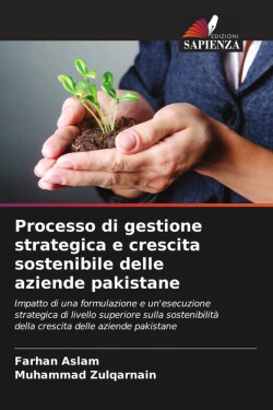 Processo di gestione strategica e crescita sostenibile delle aziende pakistane