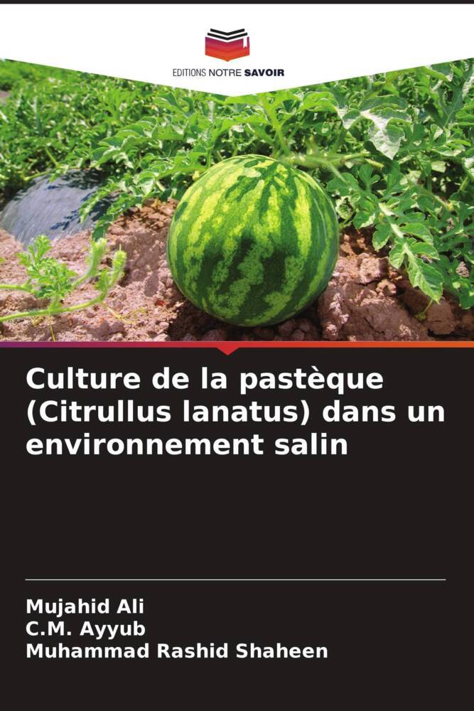 Culture de la pastèque (Citrullus lanatus) dans un environnement salin