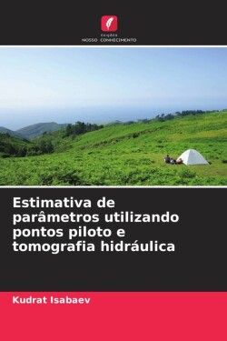 Estimativa de parâmetros utilizando pontos piloto e tomografia hidráulica
