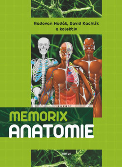 Memorix Anatomy EN 2.vydanie
