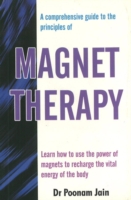 Comprehensive Guide to the Principles of Magnet Therapy
